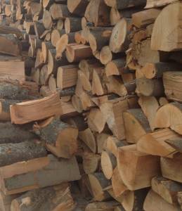 Wood stored for seasoning